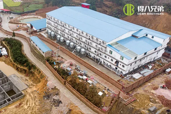 ãDự án nhiều tầngãTrang trại lợn nái nhiều tầng 3600 con Hồ Nam Thiệu Dương