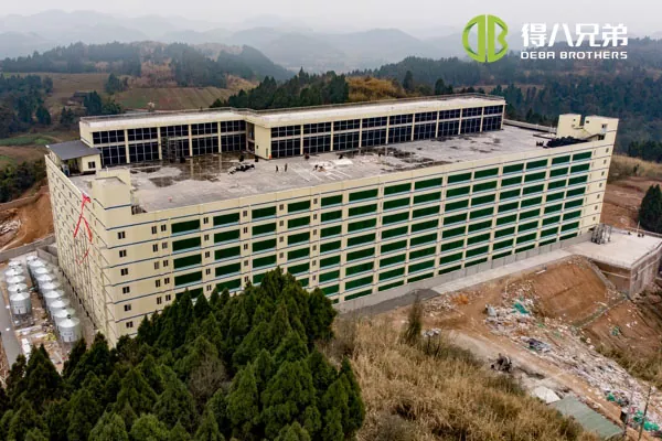 ãDự án nhiều tầngãTrang trại lợn nái 10000 con của nhóm Tứ Xuyên Qiquan