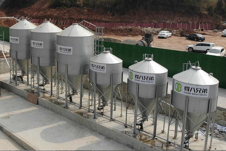 Silo thức ăn cho trang trại lợn: Thiết bị chính để tối ưu hóa việc quản lý và lưu trữ thức ăn trong trang trại lợn