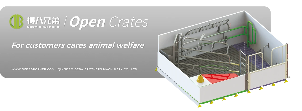 Giường nái mở của DEBA Brothers đã được công nhận trên toàn thế giới nhờ thiết kế thân thiện với người sử dụng