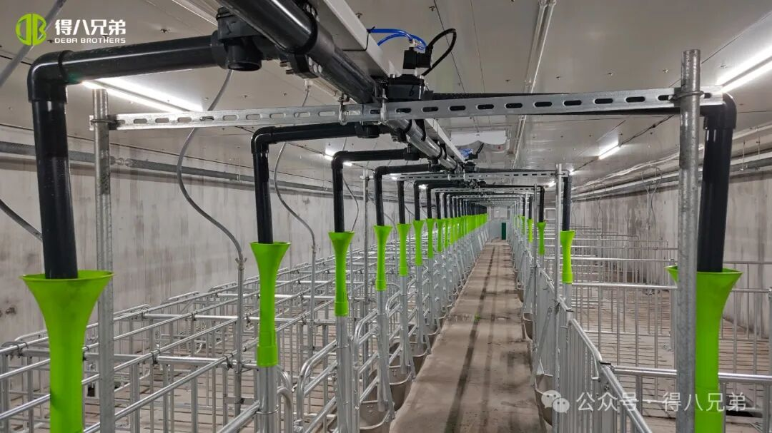 Cơ sở trình diễn chăn nuôi và trồng trọt lợn đen Deba Brother Licha - Hoạt động tổng hợp của 2.000 con lợn nái, 50.000 vụ giết mổ hàng năm, 67.000 mét vuông