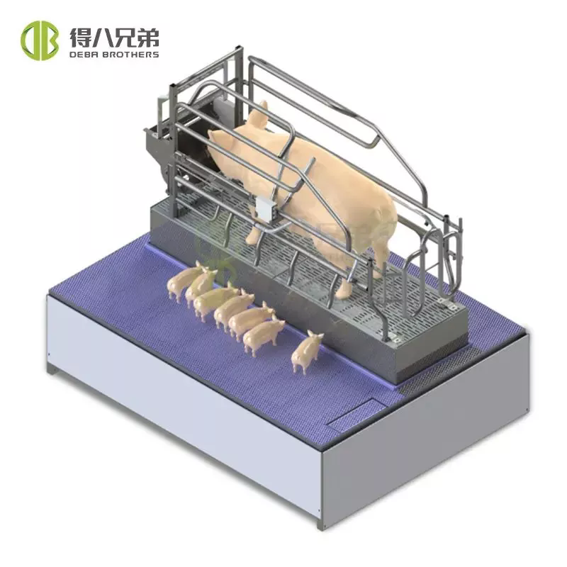Cho ăn chính xác giúp tăng cường tiết sữa & quản lý khoa học giúp heo con khỏe mạnh — Debabrother trao quyền cho việc chăn nuôi lợn nái đang cho con bú hiệu quả