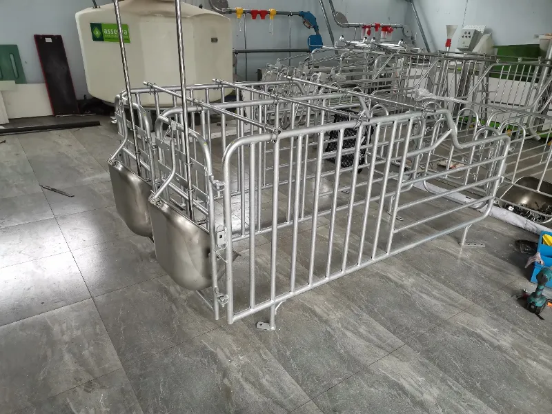 Ưu điểm cốt lõi của mạ kẽm nhúng nóng cho thiết bị chuồng nuôi lợn