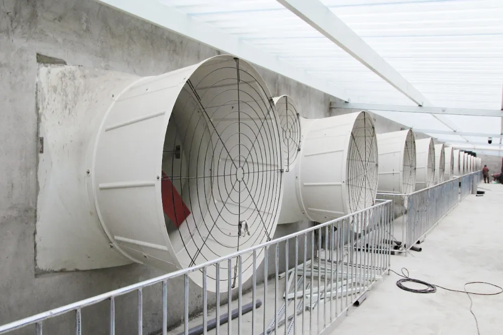 Kiểm soát khí hậu thông minh trở thành xu hướng hot trong việc nâng cấp trang trại lợn quy mô lớn
