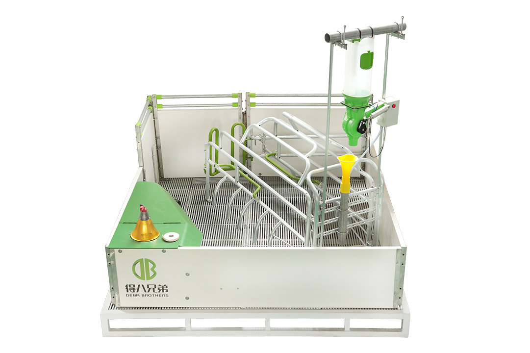 WELSAFE Chuồng nái đẻ - Tập trung vào phúc lợi động vật