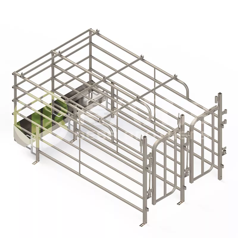 Các chuồng lợn truy cập miễn phí rộng rãi hơn ở Tây Ban Nha